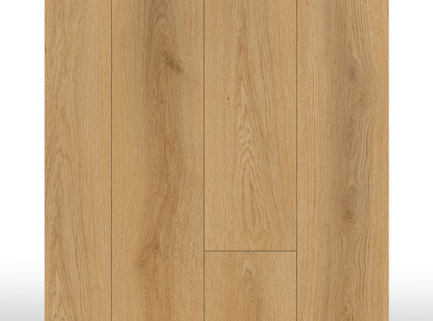 SPC Acoustic | Forest Oak - Bisel 4V - 8,5 mm